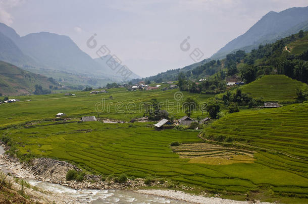稻田和村庄