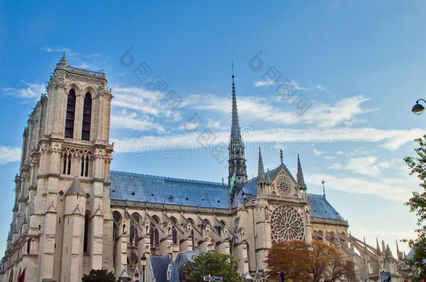 巴黎圣母院场景