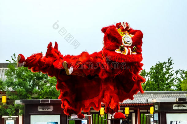 春节舞狮
