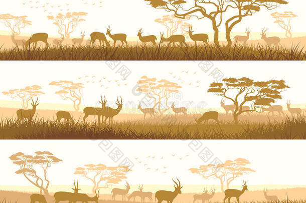 非洲大草原野生动物横幅。