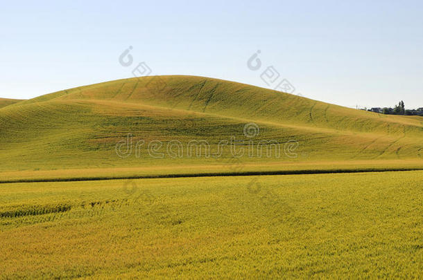 起伏的风景