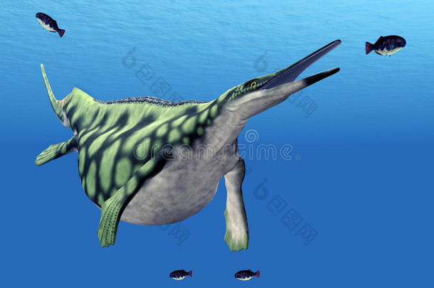 海生爬行<strong>动物</strong>hupehsuchus