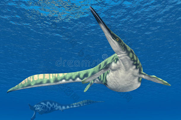 海生爬行动物hupehsuchus