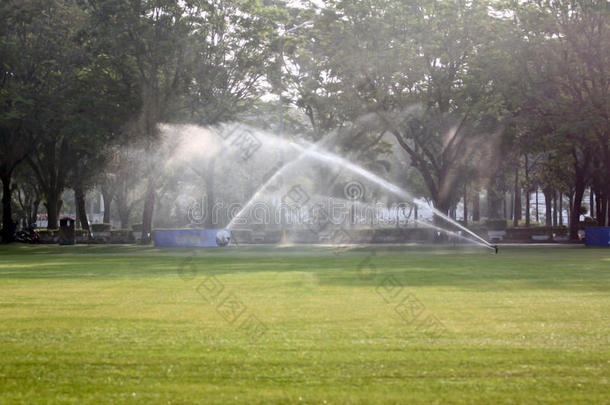 公园里的草坪浇水。