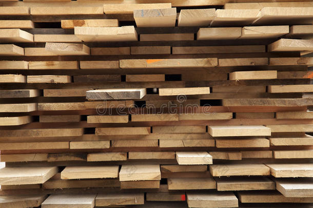 林业新鲜的住房行业木材