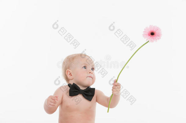 可爱的<strong>小绅士</strong>送了一朵美丽的花。