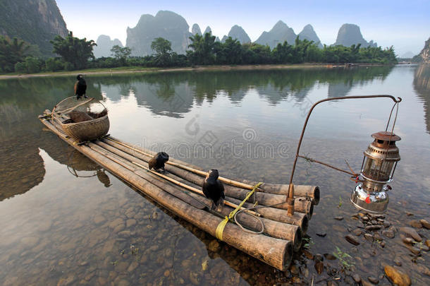带鸬鹚鸟的船，中国传统的捕鱼用<strong>经过</strong>训练的鸬鹚来捕鱼，阳朔，中国