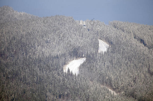 冬季高山滑雪坡景观。