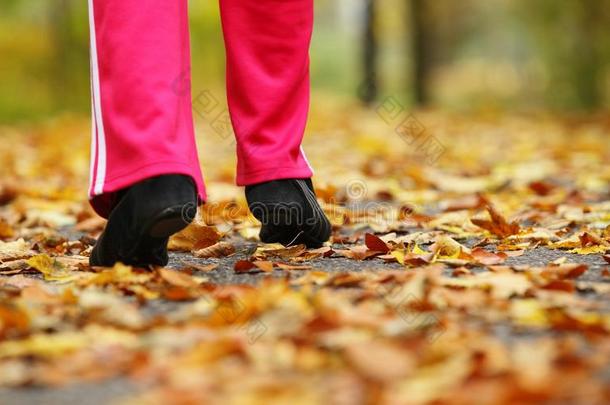 跑腿跑鞋。秋天公园里的女子慢跑