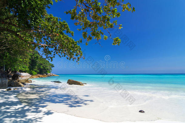 热带沙滩，沙滩上有海，有树，<strong>所以</strong>大柴岛