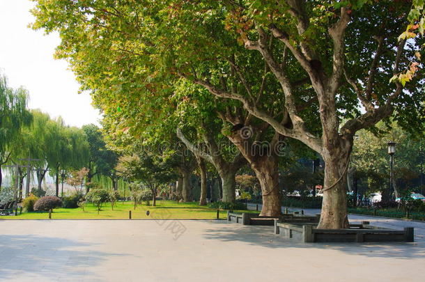 西湖风景。杭州。中国。