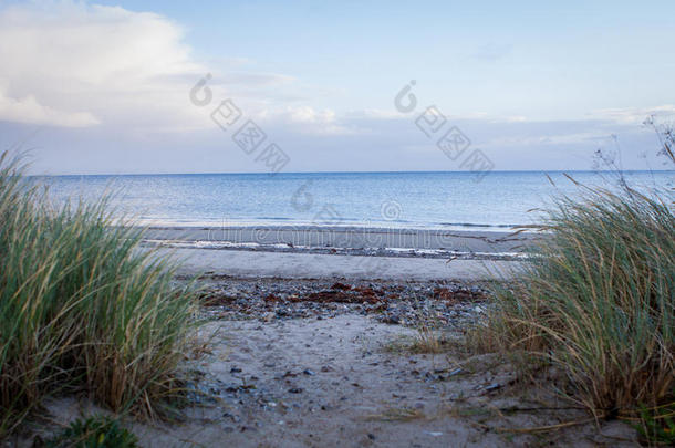 秋冬波罗的海美丽的沙丘