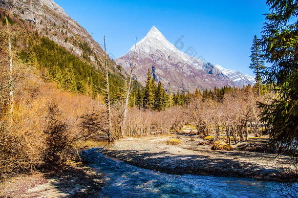 四姑娘山昌平河谷风光