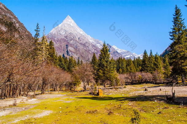 四姑娘山昌平河谷风光