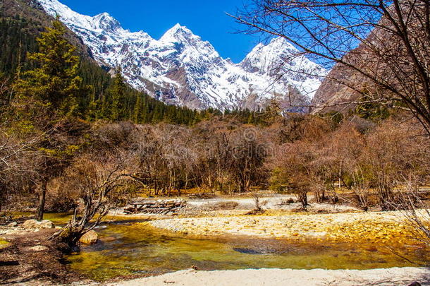 四姑娘山昌平河谷风光