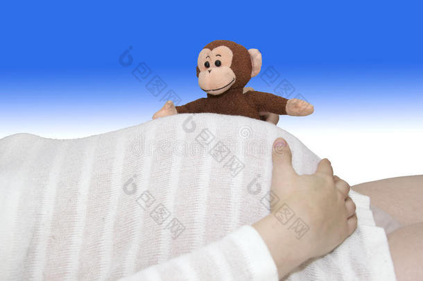 玩具猴偷看白色条纹怀孕的肚子