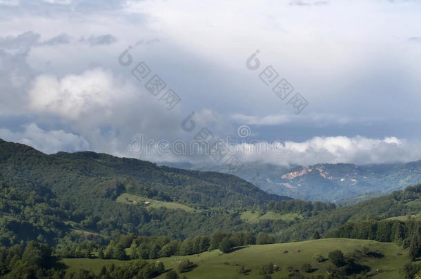 五彩缤纷的夏季景观