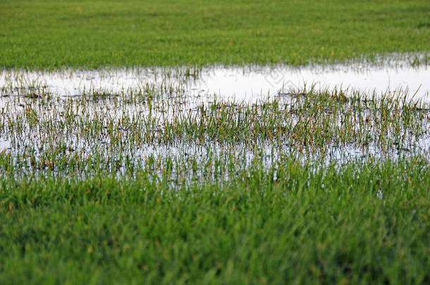 湿地淹水沥青草积水潮湿倾盆大雨