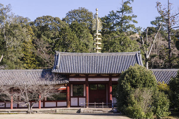 一个小小的光泽，日本东京寺的一部分