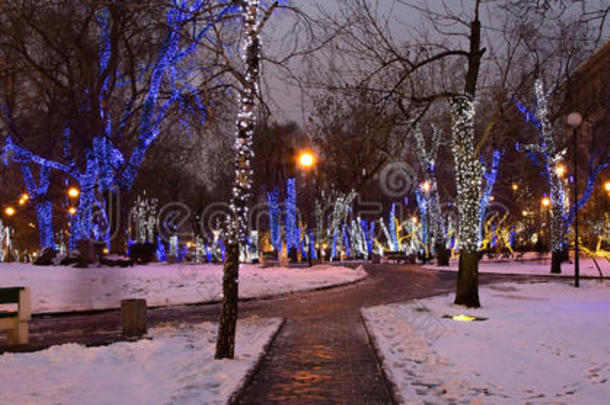 俄罗斯莫斯科夜晚圣诞和新年假期的树木