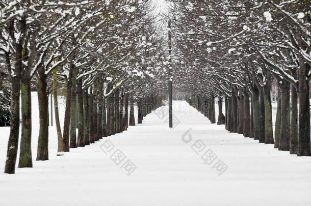 维托利亚雪景（西班牙）