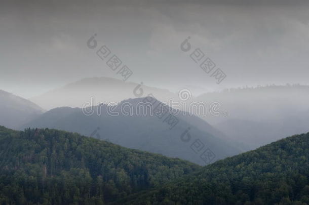 五彩缤纷的夏季景观