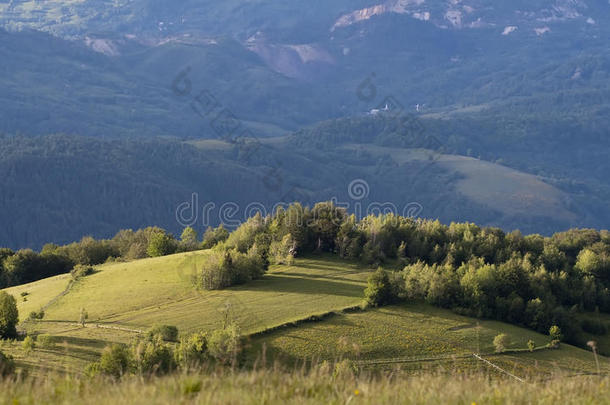 五彩缤纷的夏季景观