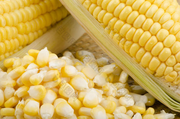 玉米，玉米（zea mays l.）。