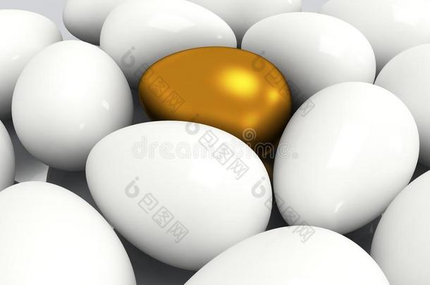 白蛋中独一无二的金蛋