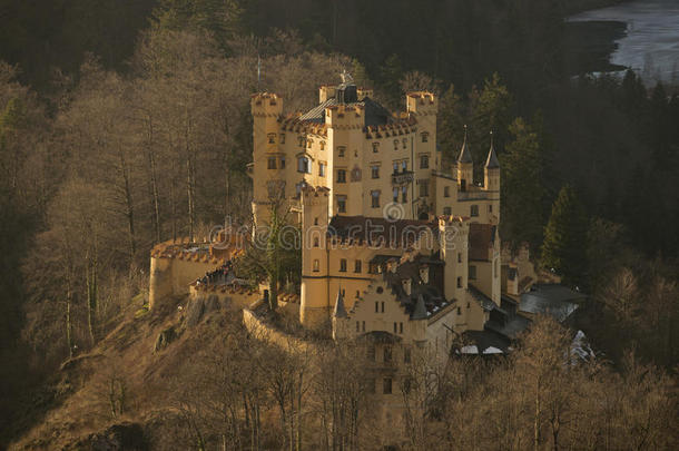 巴伐利亚的霍恩施旺古城堡