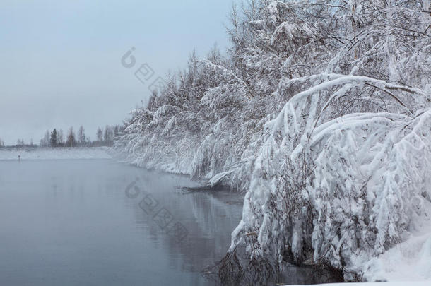 湖上挂满大雪的树枝