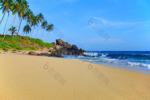 椰树沙滩
