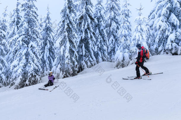 救援滑雪巡逻队帮助受伤的女滑雪者