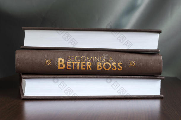 成为一个更好的老板。书籍概念。