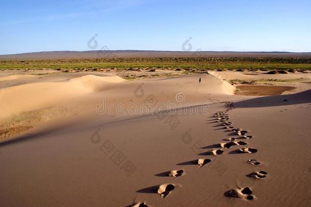 蒙古<strong>戈壁沙漠沙漠</strong>景观与沙地足迹