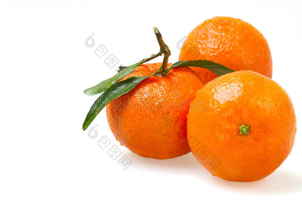 <strong>三鲜</strong>橘