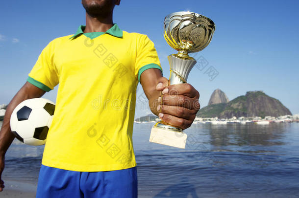 巴西足球冠军奖杯