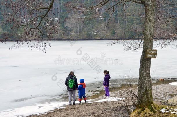 孩子们在结冰的湖边玩耍