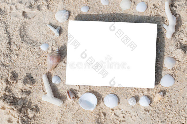 边框夏季海滩贝壳空白复制空间