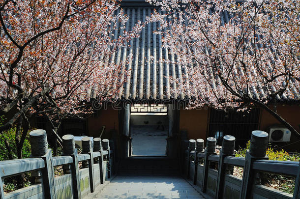 <strong>九华山</strong>寺