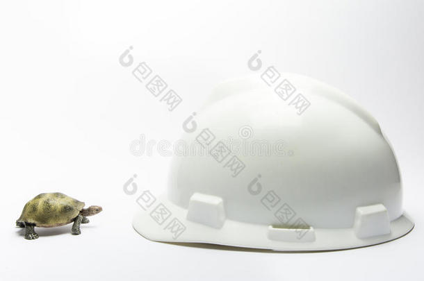 乌龟头盔