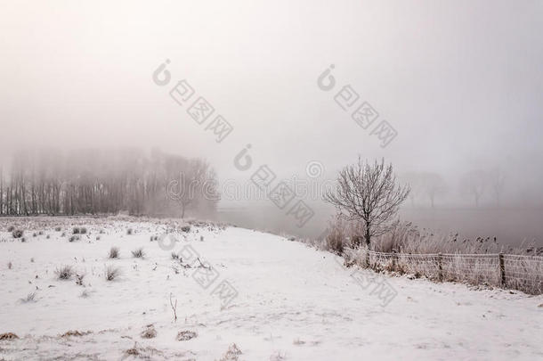 寒冷天气里神秘的雾蒙蒙的冬季景色