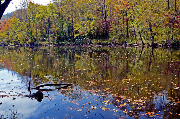 秋天河水<strong>倒映</strong>在静止的河面上。