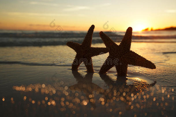 日出海滩海星海星剪影