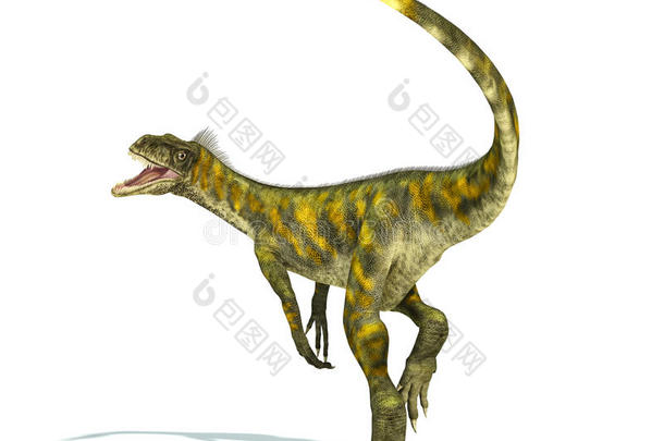 herrerasaurus恐龙，真实照片。动态v