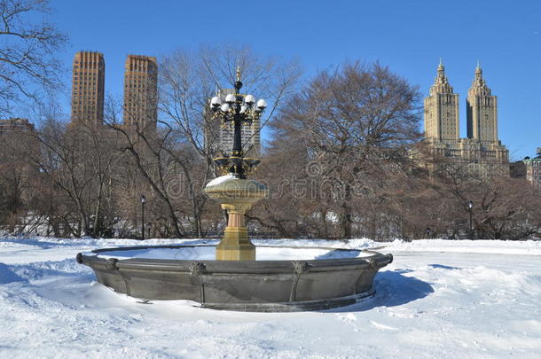 纽约市中央公园胡同冬天。纽约。