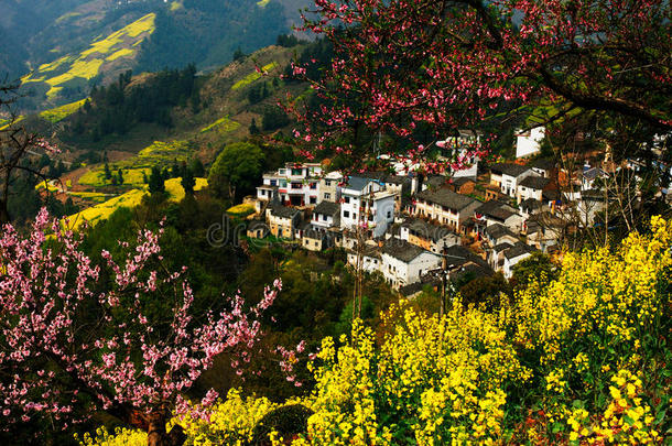 春山村