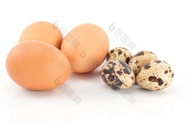 鸡蛋和鹌鹑蛋