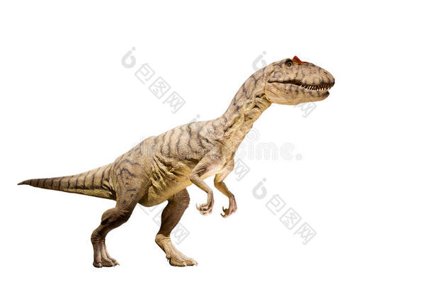 一种分离的异龙（脆弱异龙）恐龙的复原。