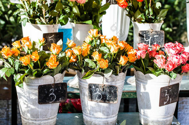 市场上花店里的五颜六色的花